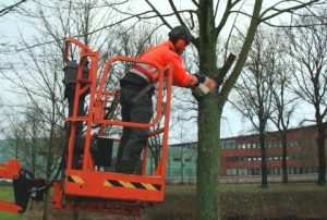 Eemfors snoeit bomen in hoogwerker